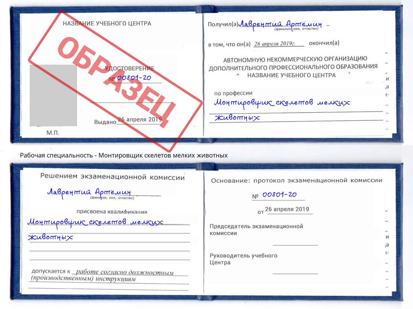 Монтировщик скелетов мелких животных Тимашёвск